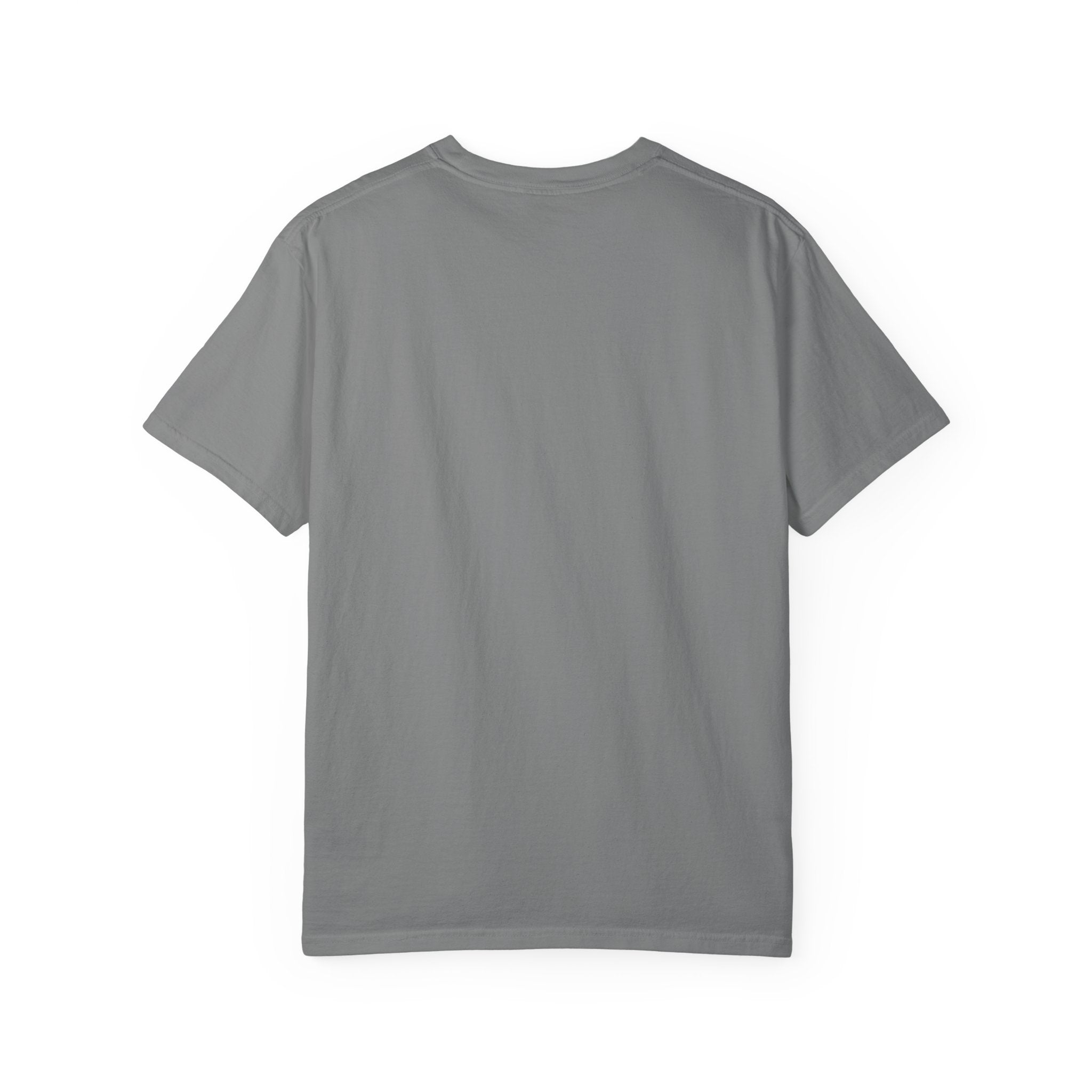 Quiet Power Tee — Heavyweight Garment-Dyed Graphic Unisex Pick me style T-Shirt