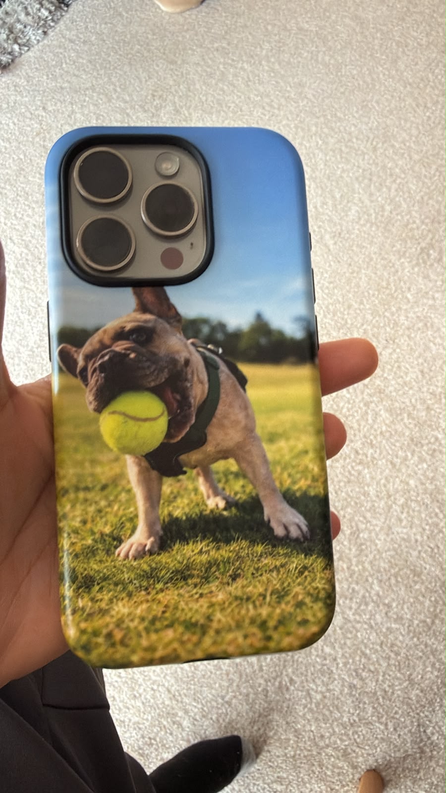 French Bulldog iPhone® Case | 'Petit Boss' Minimal Dark Design - Pick Me Mystic Wear French Bulldog iPhone® Case | 'Petit Boss' Minimal Dark DesignPHONE-CASEPick Me Mystic WearPick Me Mystic Wear 1747350_15392French Bulldog iPhone® Case | 'Petit Boss' Minimal Dark DesigniPhone 11